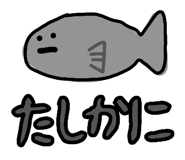 880337978