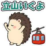 880341293