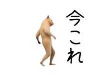 880343685