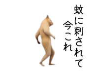 880343686