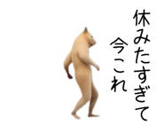 880343690