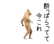 880343691