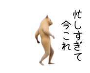 880343694