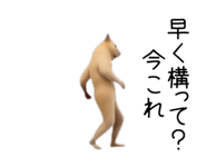 880343695