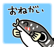 880348091