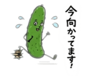 880351060