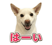880351094