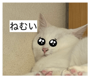 880351945