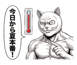 880359954