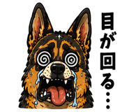 880361563
