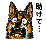 880361566