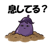 880361661