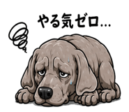 880364755