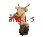 880365113