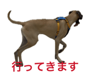 880365118