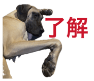 880365121
