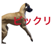 880365125