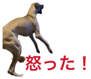 880365126