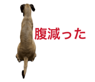 880365128