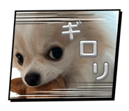880367715