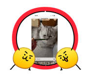 880368184