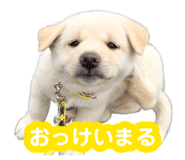 880368721