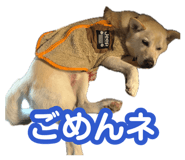 880368734