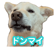 880368736