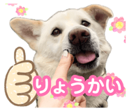 880368743