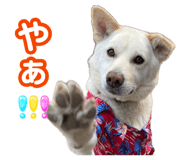 880368750