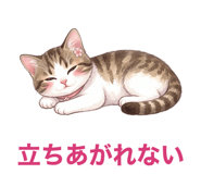880369343