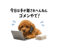 880370080