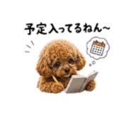 880370093