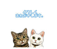 880370341