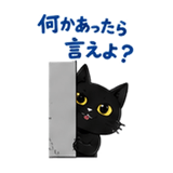 880372335