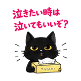 880372339