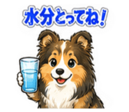 880373163