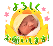 880373433