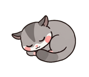 880386655