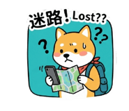 880387523