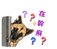 880388694