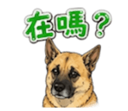 880388695
