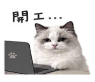 880388842