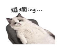 880388853