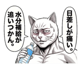 880389067