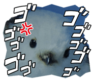 880397839