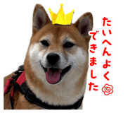 880398364