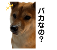 880398368