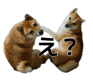 880398372
