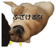 880398373